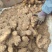 河南许昌大黄姜泥姜坏烂包赔，品质保证自家种植基地！