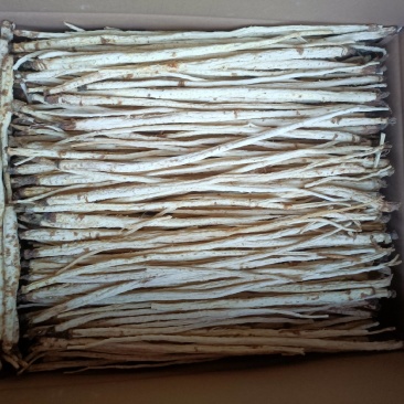 袋装内蒙北沙参500g，牛家营子北沙参种植基地，长期现货