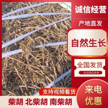 甘肃药厂柴胡七吨左右有需要可以给我联系诚信经营