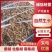 甘肃药厂柴胡七吨左右有需要可以给我联系诚信经营