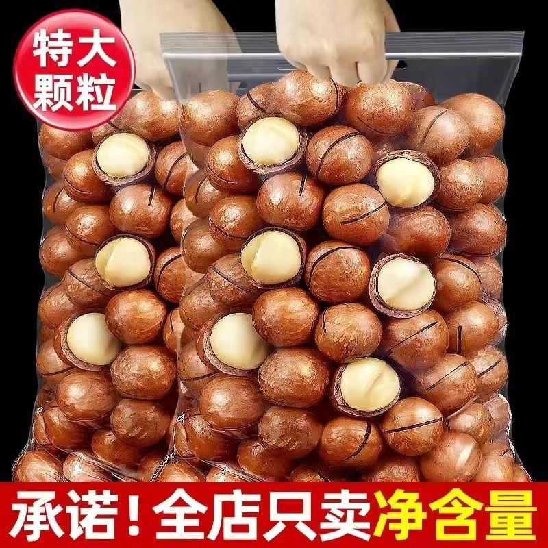 零食大礼包一整箱好吃夏威夷果每日坚果网红小吃310g干果
