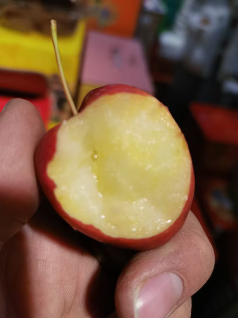 内蒙通辽开鲁县特产鸡心果