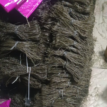 ***红薯粉条，无任何添加剂，没晒好便宜卖