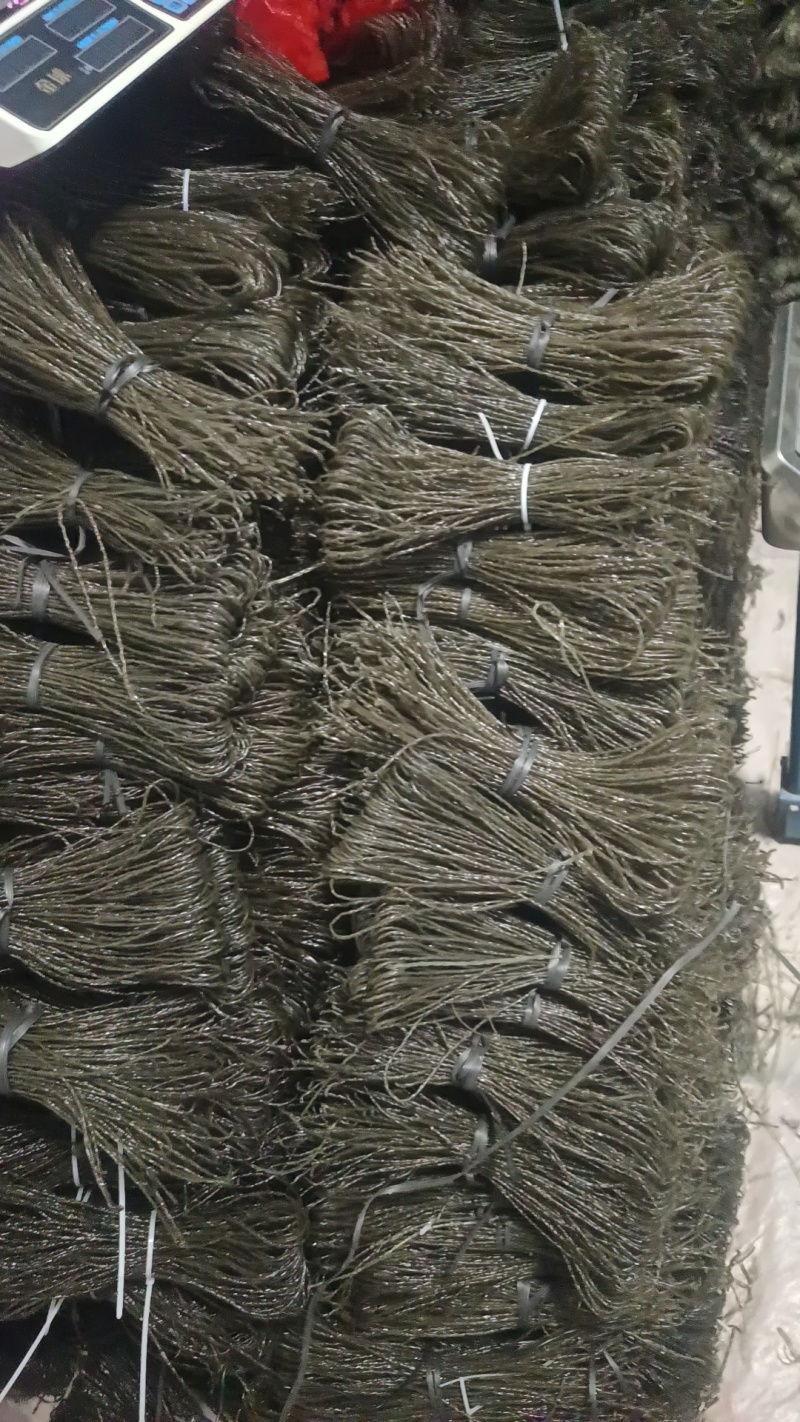 ***红薯粉条，无任何添加剂，没晒好便宜卖