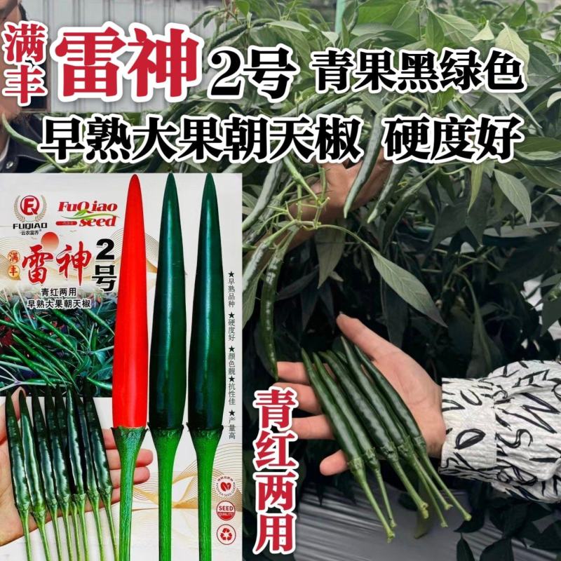 黑绿色朝天椒种子满丰雷神2号朝天椒种子大果青红两用种籽