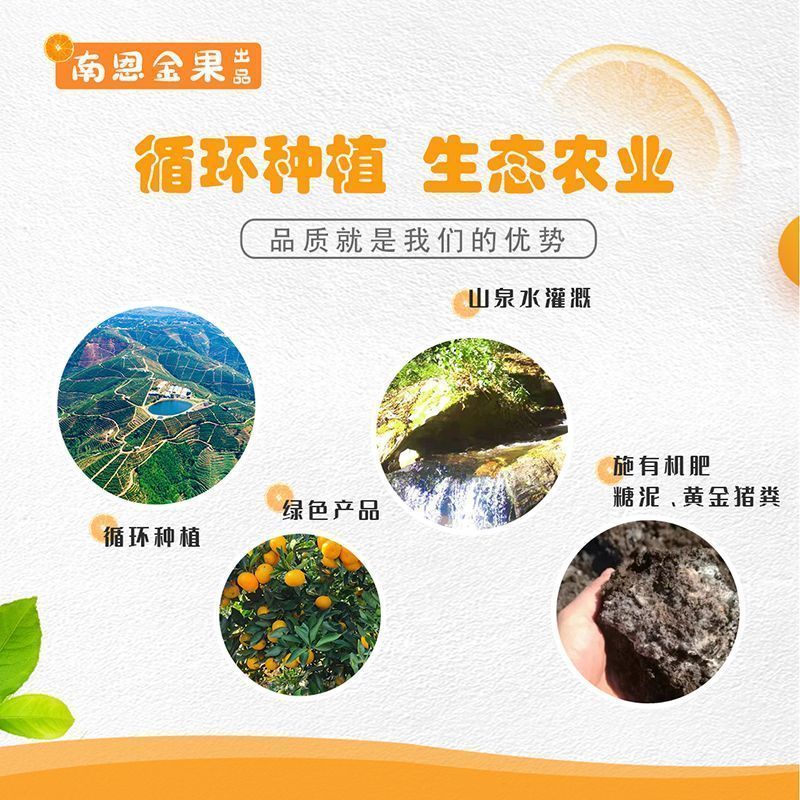 云南高原沃柑新鲜纯甜桔子应季薄皮橘子净重5斤单果70mm