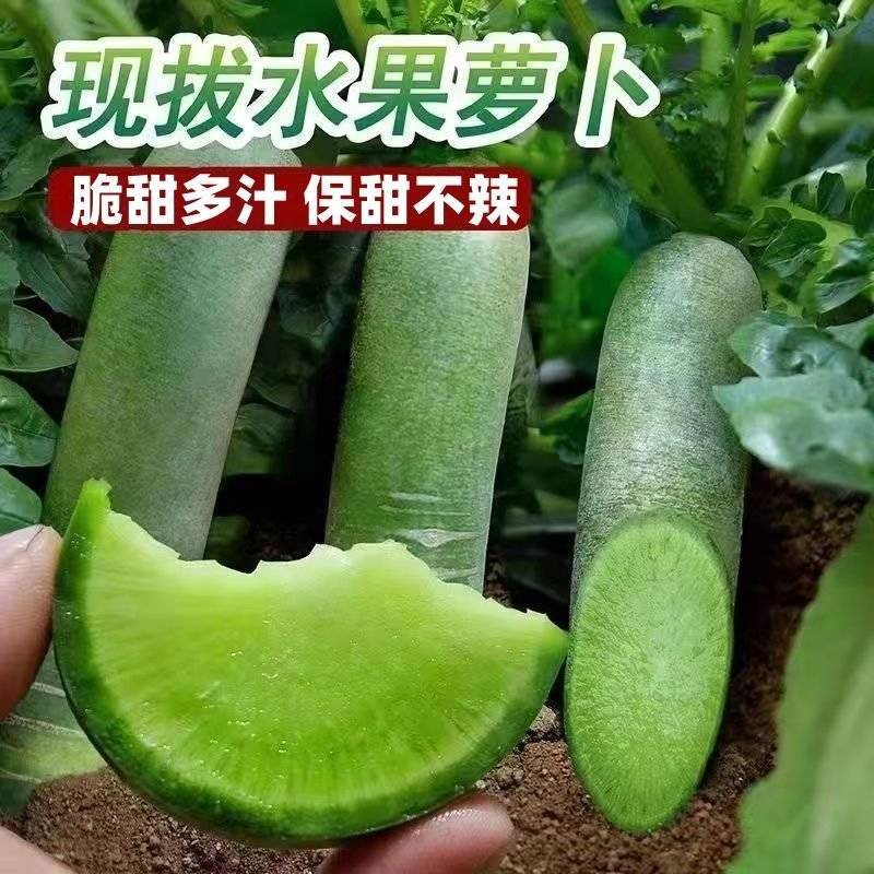 水果萝卜