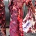 伊犁鲜牛肉，厂家直销西安。48小时排酸纯干无水，货源充足