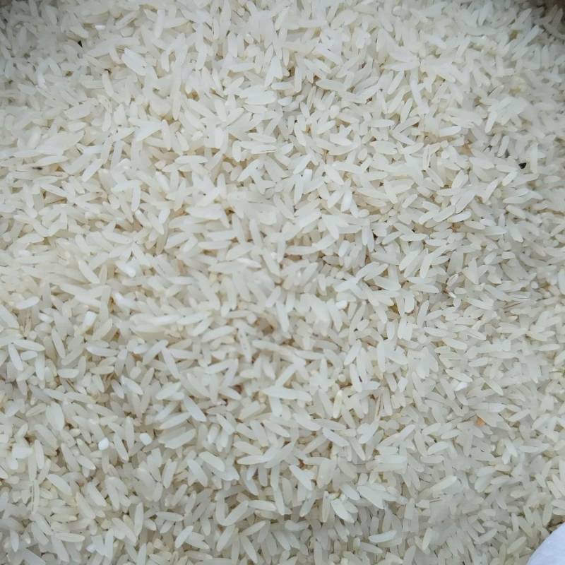 陕西稻香米大量有货品质保证欢迎新老客户选购