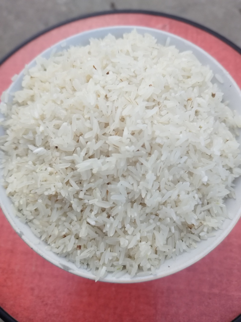 陕西稻香米大量有货品质保证欢迎新老客户选购