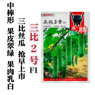 鼎牌三比2号丝瓜种子果皮翠绿早熟种籽大棚露地水瓜种子