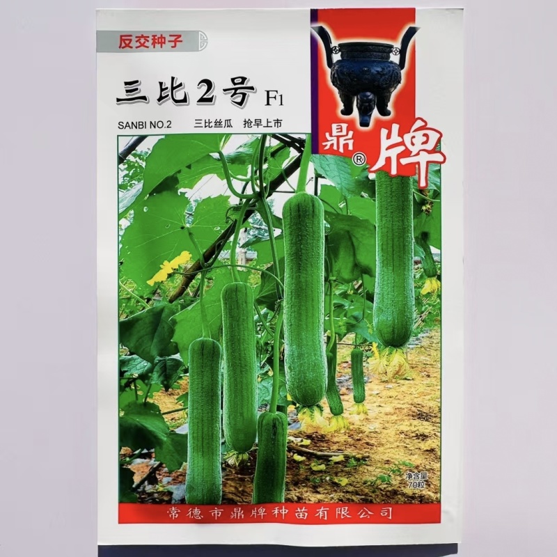 鼎牌三比2号丝瓜种子果皮翠绿早熟种籽大棚露地水瓜种子