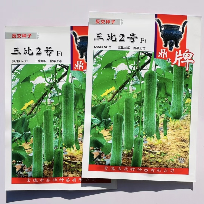 鼎牌三比2号丝瓜种子果皮翠绿早熟种籽大棚露地水瓜种子