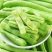 云南保山露天种植四季豆小金豆批发代发