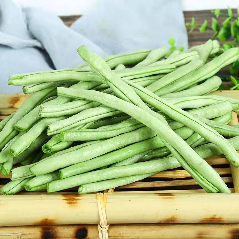 云南保山露天种植四季豆小金豆批发代发
