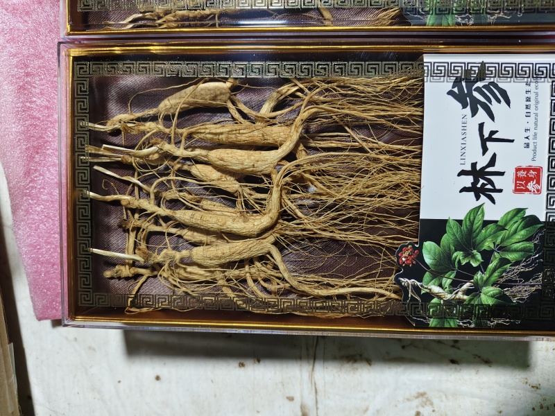 吉林长白山林下参高年头（20-25）各种规格，一手货源！
