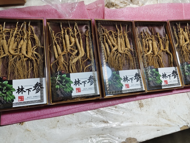吉林长白山林下参高年头（20-25）各种规格，一手货源！