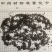 同奎中药材批发补骨脂固脂批发各种中药材