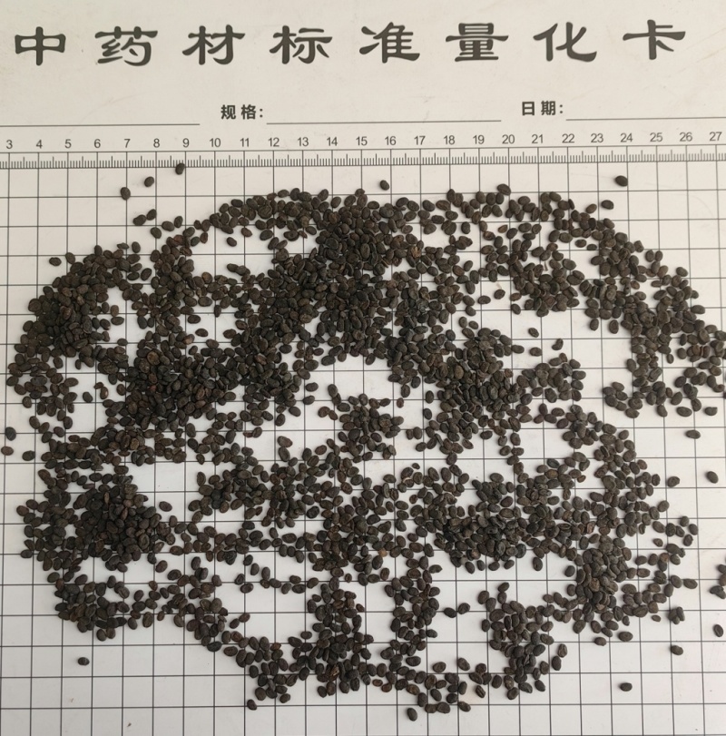 同奎中药材批发补骨脂固脂批发各种中药材
