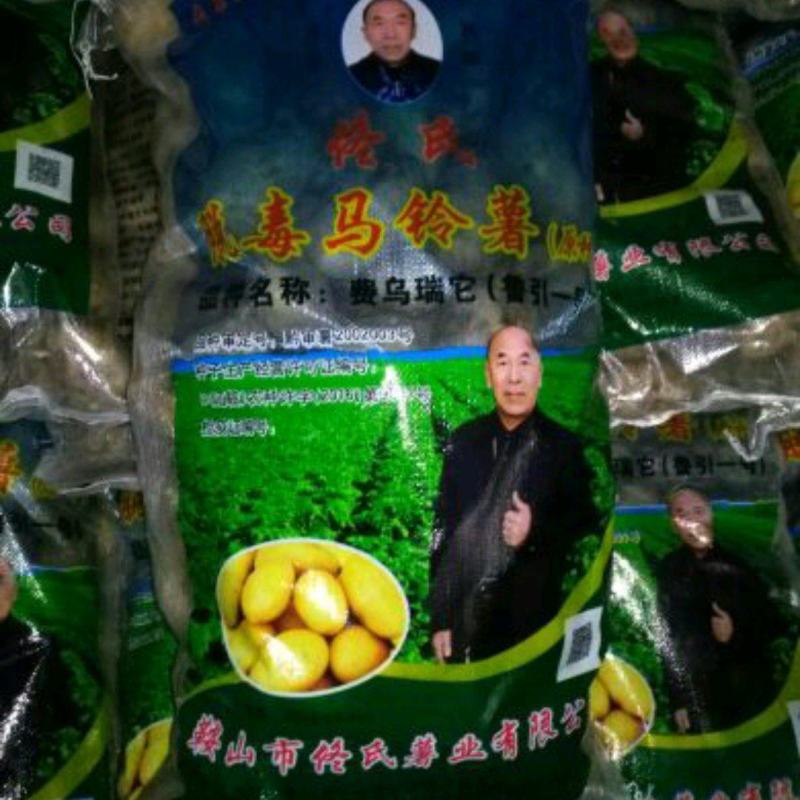 内蒙原种806/荷兰七号/荷兰十五原种规格可按客户要求
