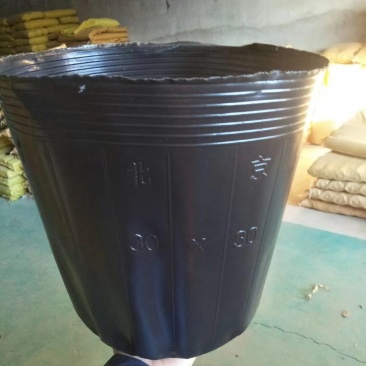营养钵育苗盆加厚营养杯塑料育苗杯一次性营养袋黑色种植育苗