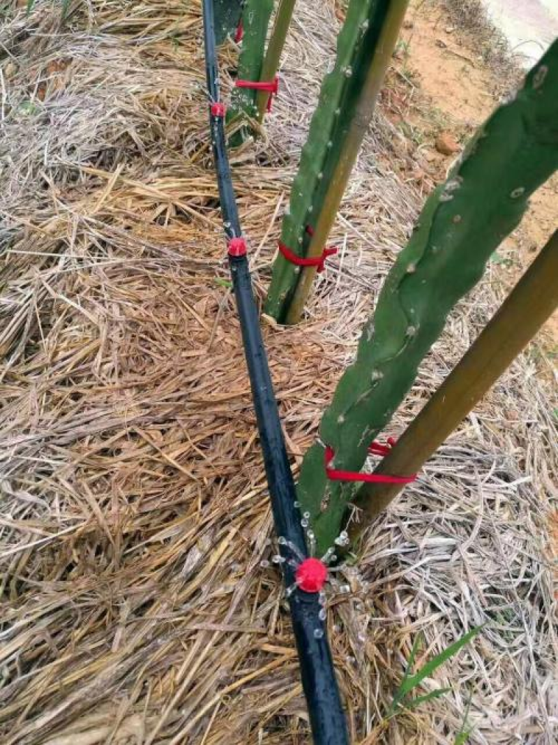 滴灌滴头稳流器滴头10升20升压力补偿式滴头规格齐全