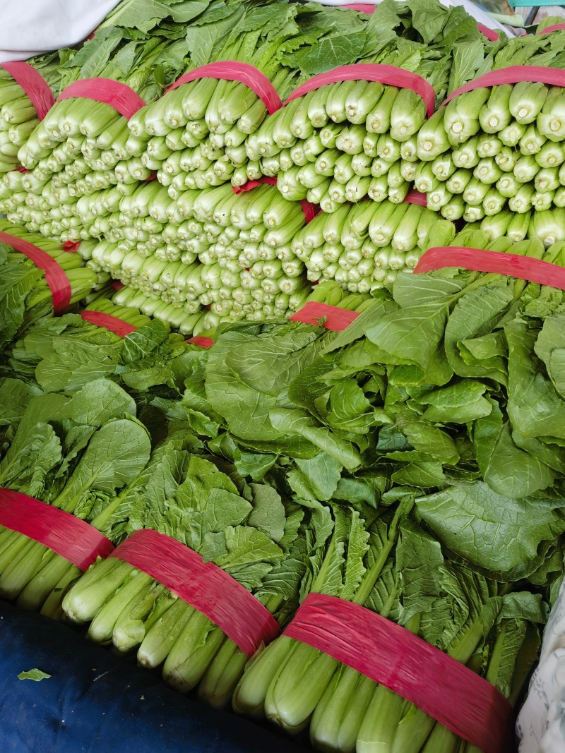 精品小白菜支持各大商超平台以及各大市场四季有货