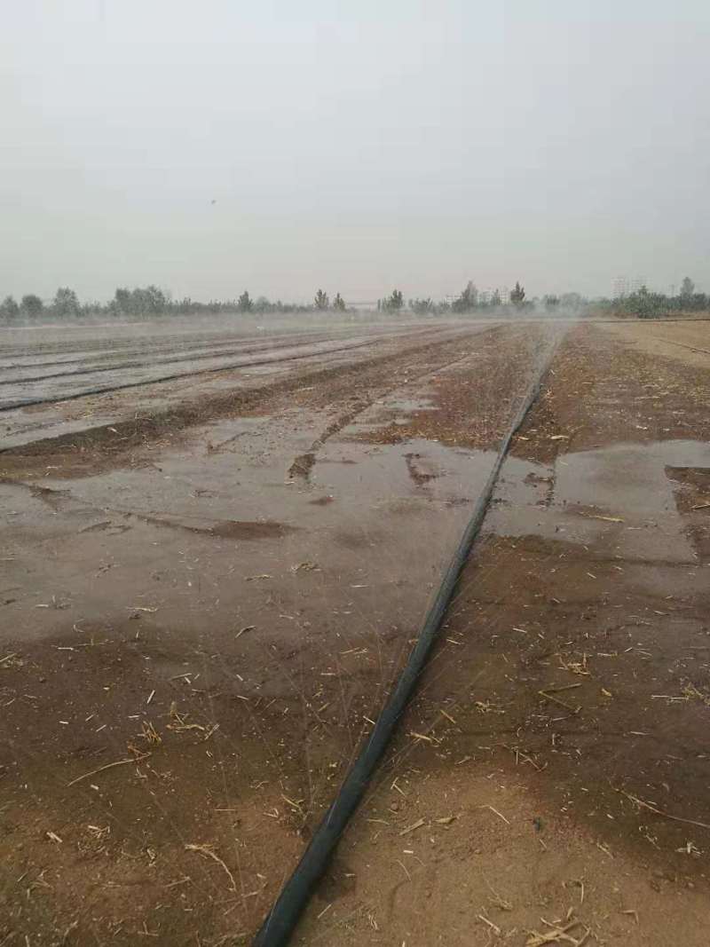 微喷带农用滴灌带大棚果蔬微喷厂家直销各种型号齐全