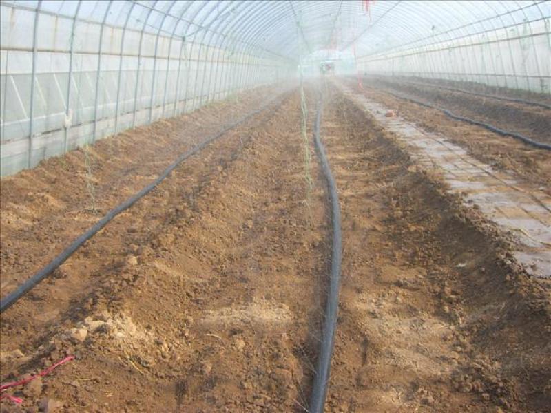 微喷带农用滴灌带大棚果蔬微喷厂家直销各种型号齐全