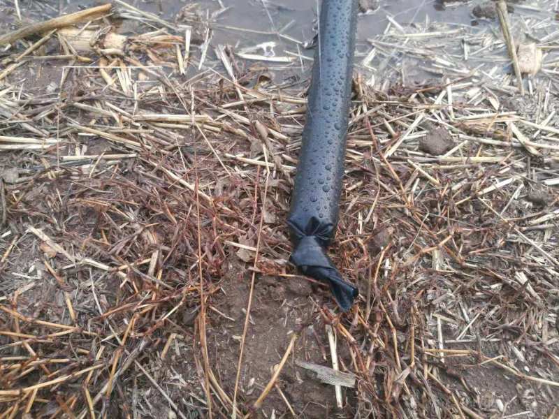 微喷带农用滴灌带大棚果蔬微喷厂家直销各种型号齐全