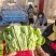 精品小白菜支持各大商超平台以及各大市场四季有货