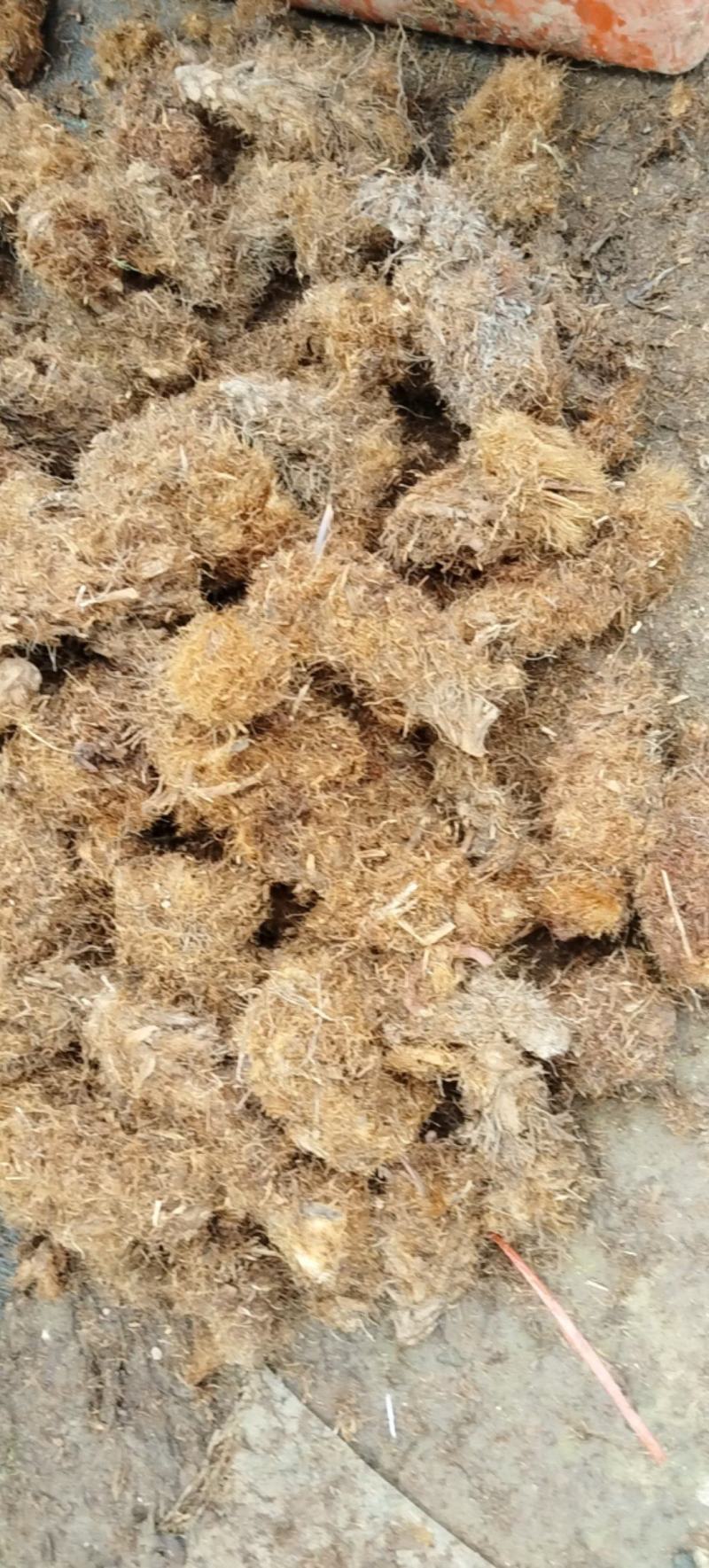 景观新宠·批发热销货源零售兼营产地直销