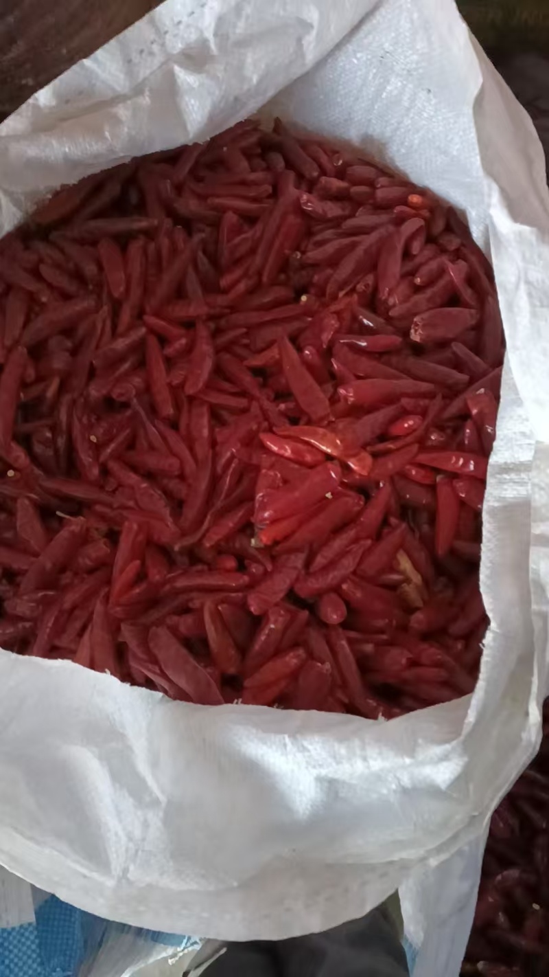 干辣椒