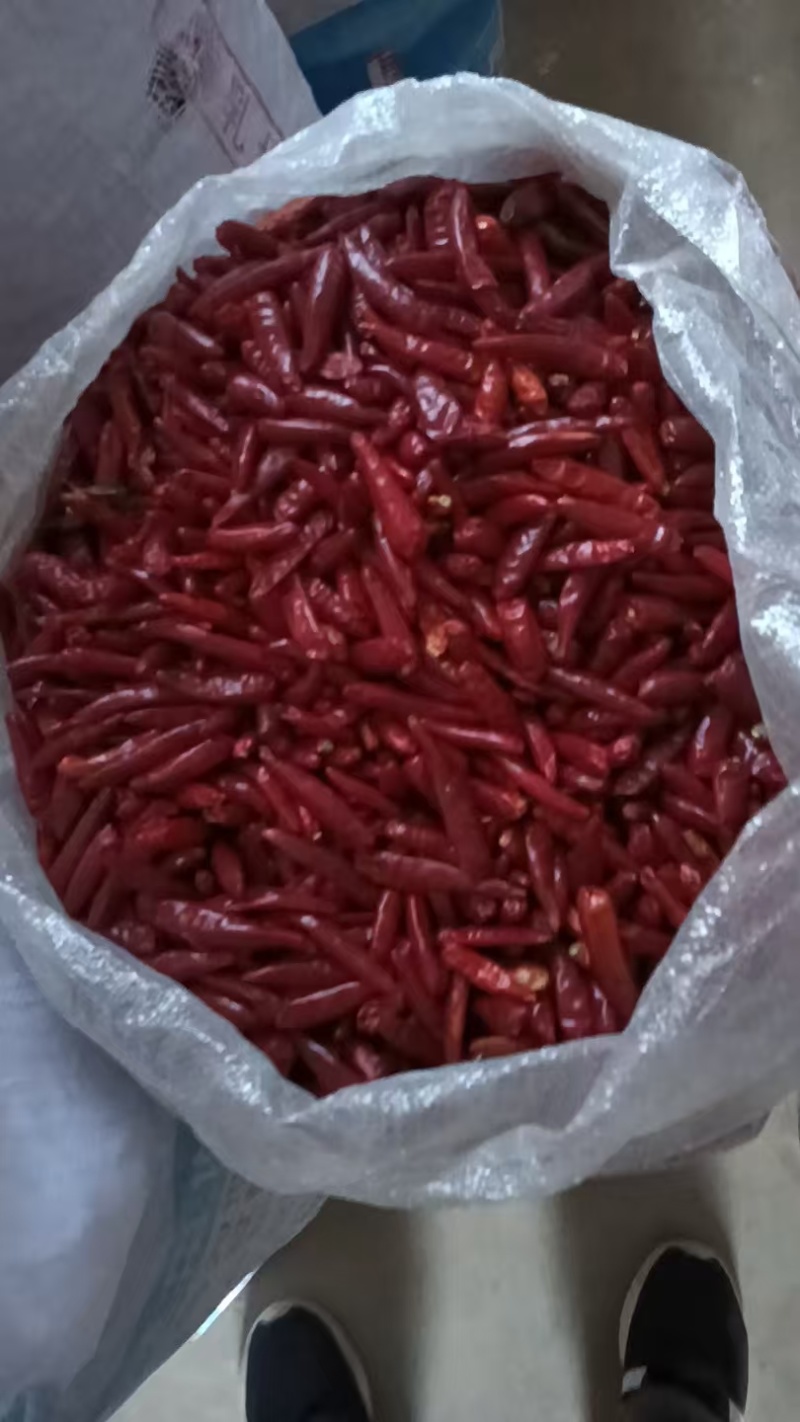 干辣椒