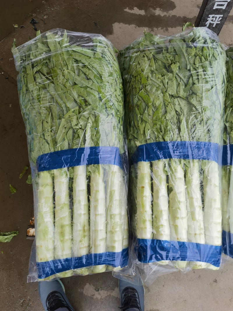 莴笋精品莴笋常年有货支持各大商超平台市场
