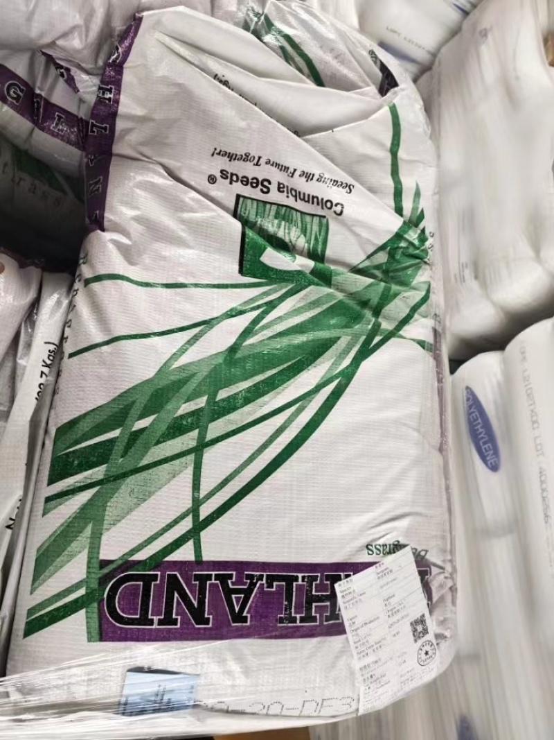 进口细弱剪股颖草籽庭院别墅绿化小区耐践踏高尔夫草坪种子