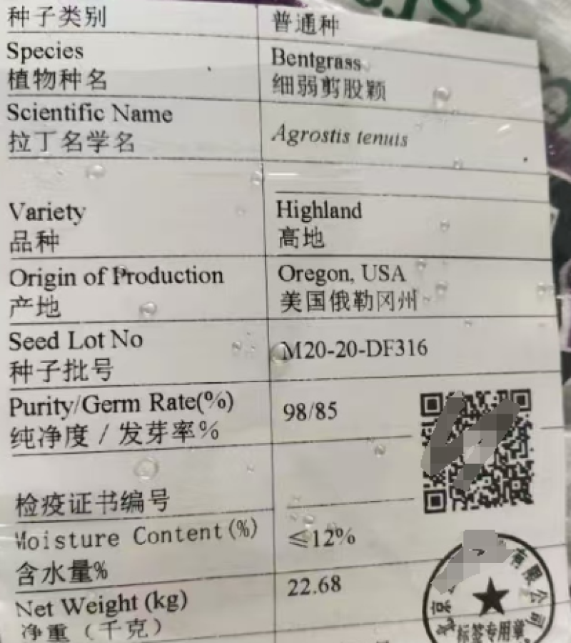 进口细弱剪股颖草籽庭院别墅绿化小区耐践踏高尔夫草坪种子