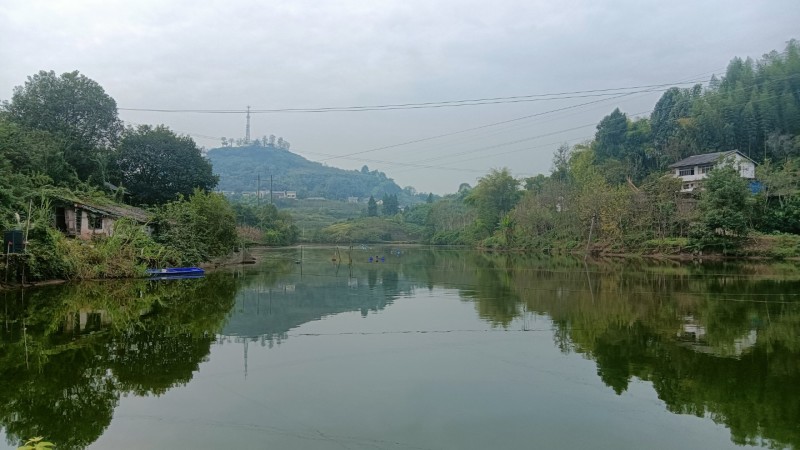 鱼塘转让