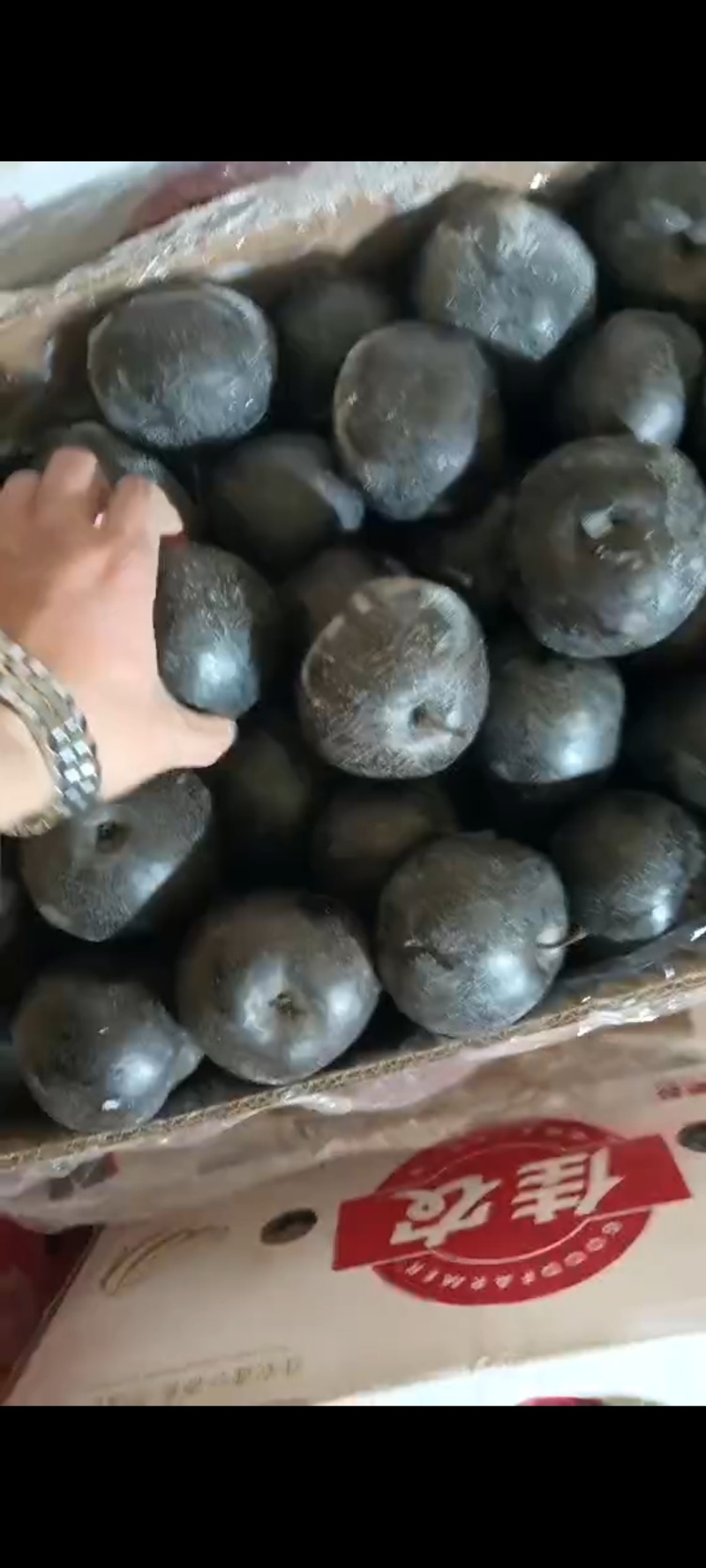 河北邯郸发货，刚到一车东北特产大冻梨