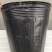 营养钵育苗盆加厚营养杯塑料育苗杯一次性营养袋黑色种植育苗花盆