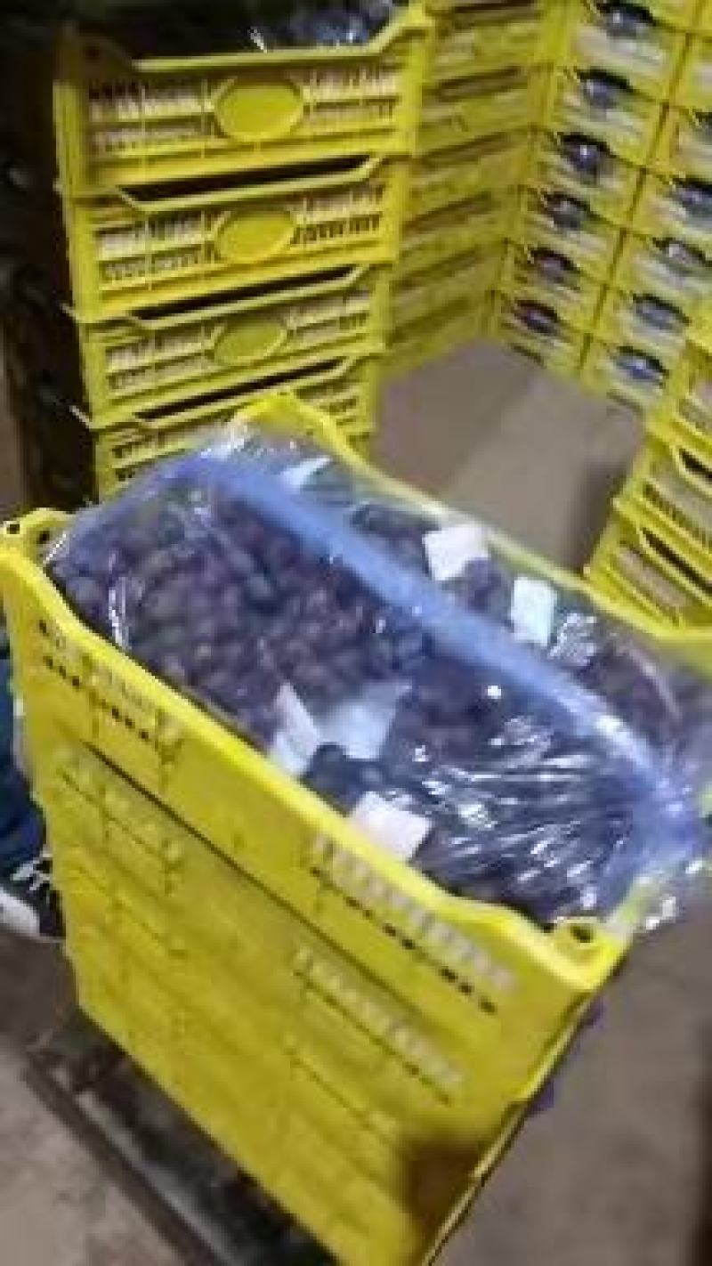 精品巨峰颗粒饱满过节走亲串友一筐15斤品质保证