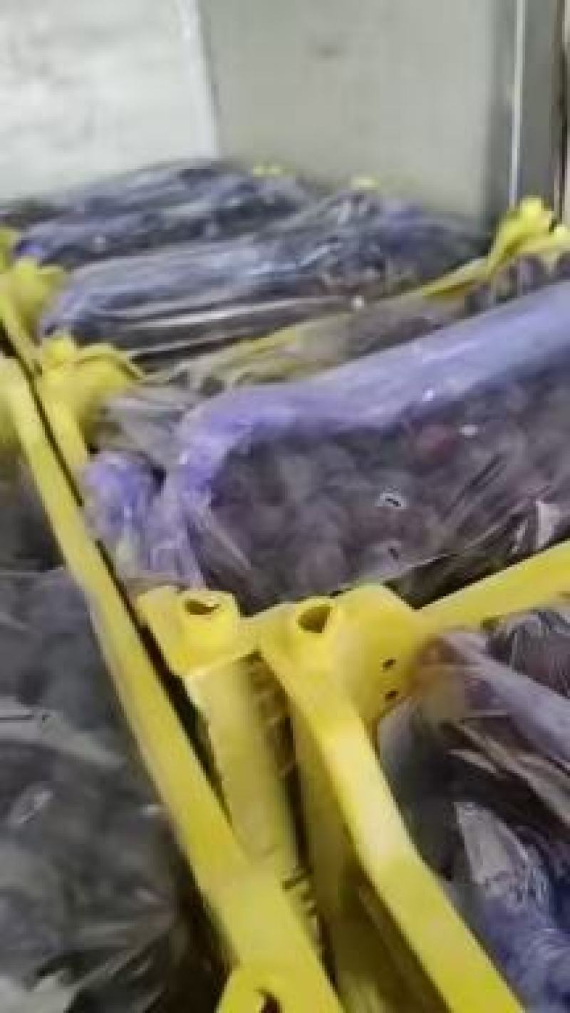精品巨峰颗粒饱满过节走亲串友一筐15斤品质保证