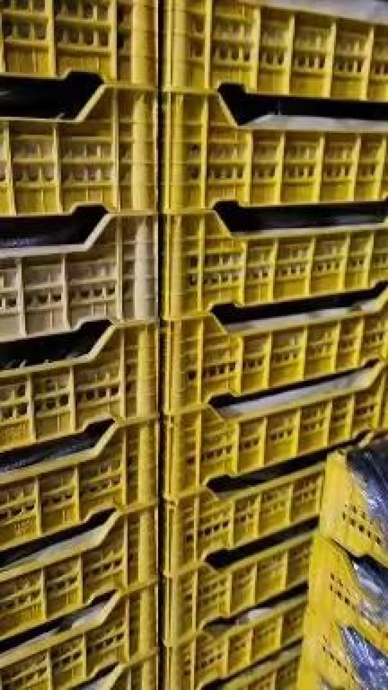 精品巨峰颗粒饱满过节走亲串友一筐15斤品质保证