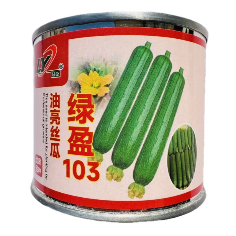 绿盈103油亮型丝瓜种子早熟结瓜多油皮丝瓜种子油绿香丝瓜
