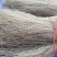 自家做的纯红薯粉条，无任何添加，只在做粉条使用少量食用帆