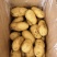 优质荷兰十五黄皮黄肉土豆大量供应