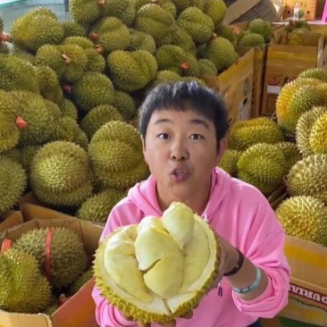金枕榴莲一手货源批发市场，a果保5房，坏果包赔，货到付款