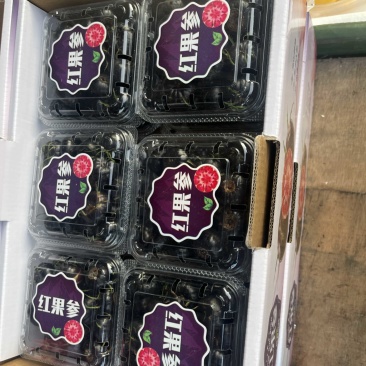 马关红果参，蜘蛛果，算盘果