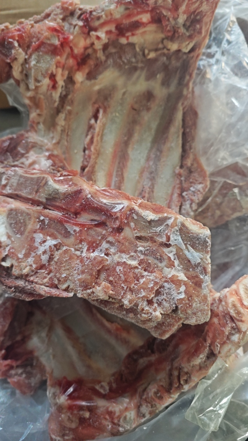母猪无颈前排，前排条，支持加工，货源充足，供应稳定