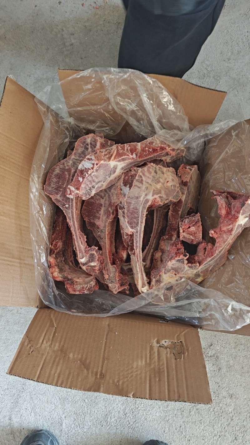 母猪无颈前排，前排条，支持加工，货源充足，供应稳定